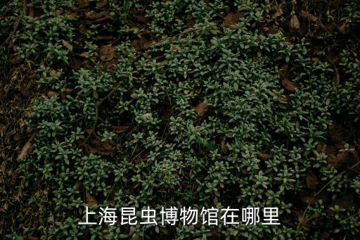 周堯昆蟲博物館，昆蟲博物館哪里有杭州有么