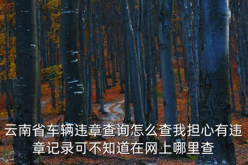 查違章，違章怎么查