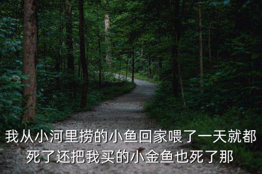 小魚回家，放假了我想把我的小魚帶回家有什么方法嗎