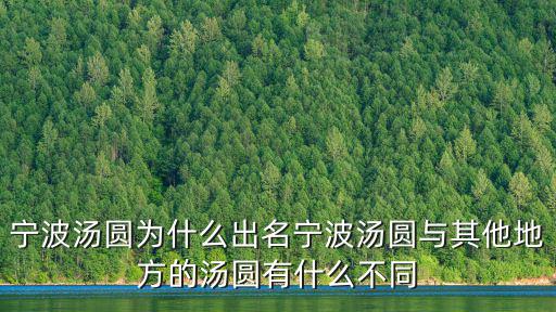 寧波湯圓為什么出名寧波湯圓與其他地方的湯圓有什么不同