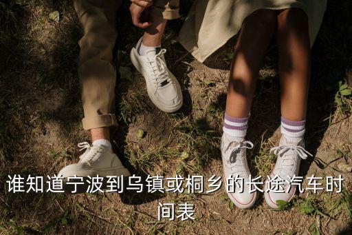 誰知道寧波到烏鎮或桐鄉的長途汽車時間表