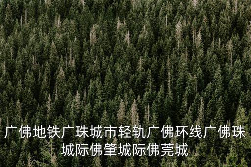 廣佛地鐵廣珠城市輕軌廣佛環線廣佛珠城際佛肇城際佛莞城