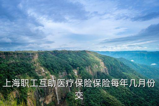 上海職工互助醫療保險保險每年幾月份交