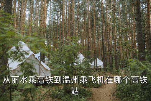 從麗水乘高鐵到溫州乘飛機在哪個高鐵站