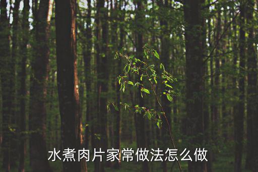 家常水煮肉，家常水煮肉怎么做