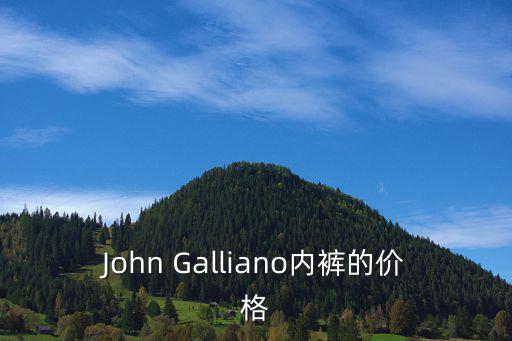 John Galliano內(nèi)褲的價(jià)格