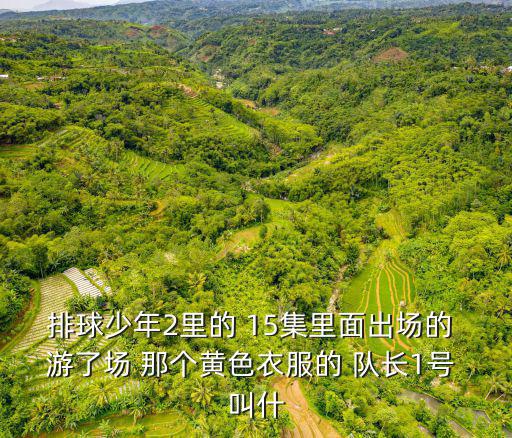 排球少年2里的 15集里面出場的 游了場 那個黃色衣服的 隊長1號 叫什