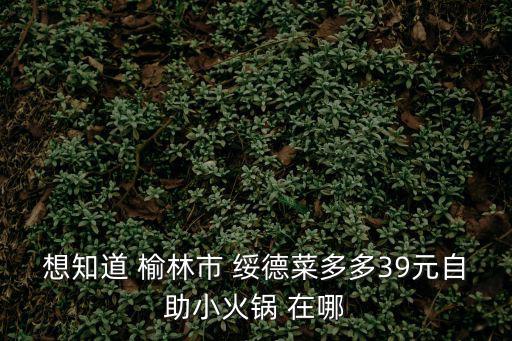 想知道 榆林市 綏德菜多多39元自助小火鍋 在哪