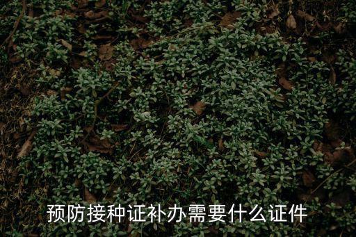 預(yù)防接種證補(bǔ)辦需要什么證件