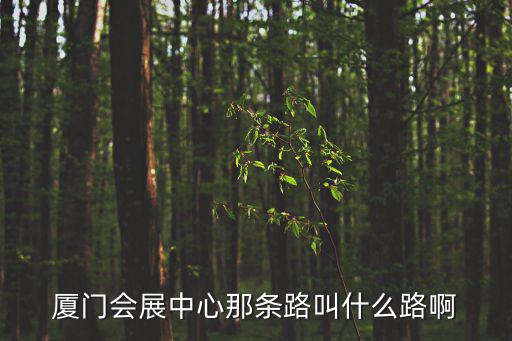 廈門會(huì)展中心那條路叫什么路啊