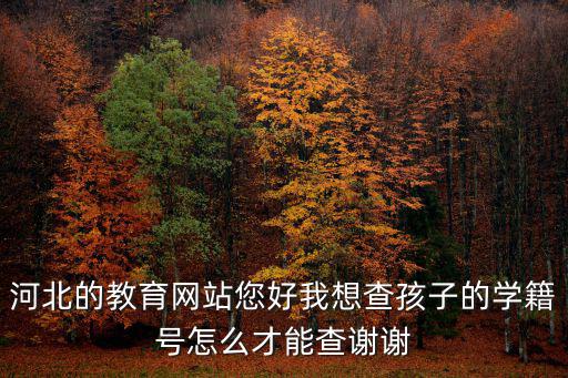 河北的教育網(wǎng)站您好我想查孩子的學籍號怎么才能查謝謝