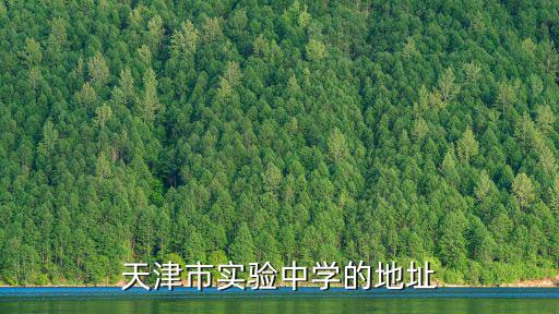 天津市實驗中學的地址