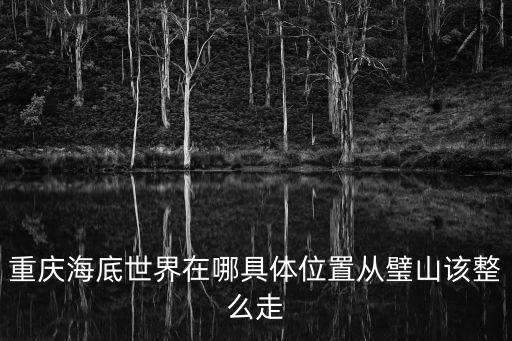 重慶海底世界在哪具體位置從璧山該整么走
