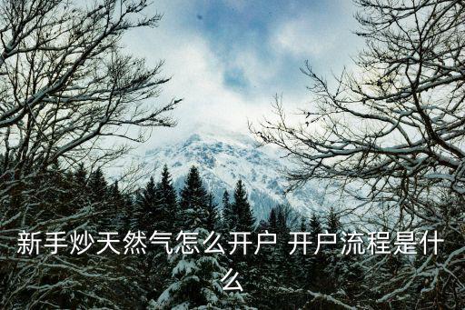 天然氣開戶，天然氣開戶怎么弄 需要什么