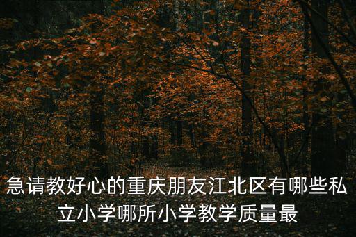 急請教好心的重慶朋友江北區有哪些私立小學哪所小學教學質量最