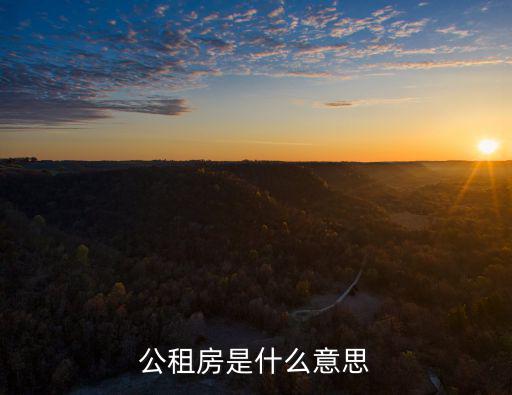 公租房是什么意思