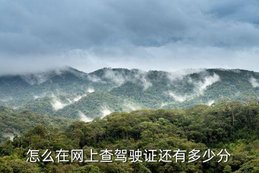 怎么在網上查駕駛證還有多少分