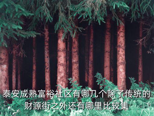 泰安社區，泰安最出名的社區網站是哪個