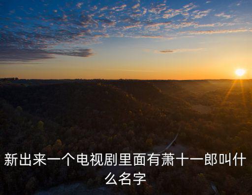 新出來一個電視劇里面有蕭十一郎叫什么名字
