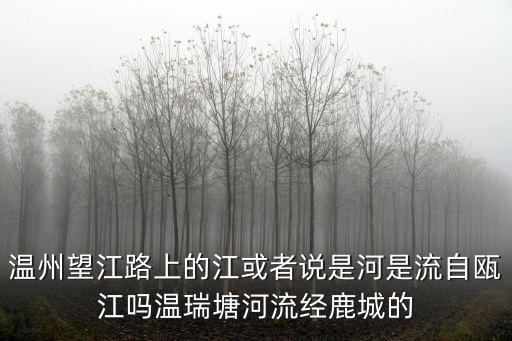 溫州望江路上的江或者說是河是流自甌江嗎溫瑞塘河流經鹿城的