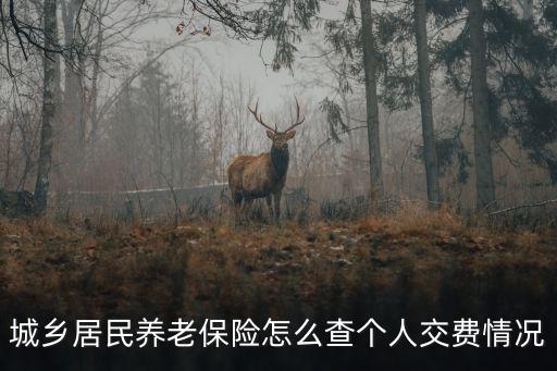 城鄉居民養老保險繳費查詢，城鄉居民養老保險怎么查個人交費情況