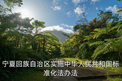 寧夏回族自治區實施中華人民共和國標準化法辦法