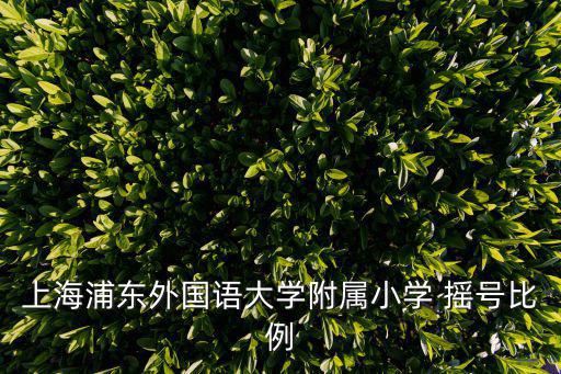 上海浦東外國語大學附屬小學 搖號比例