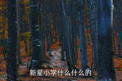 新星小學什么什么的
