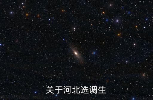 關于河北選調生