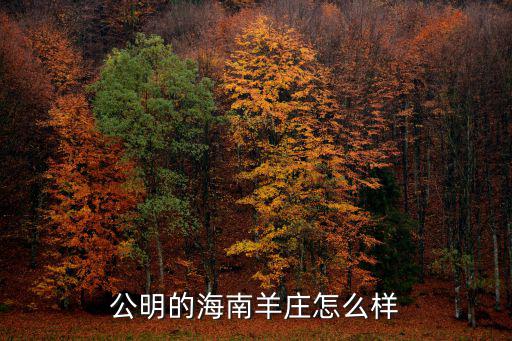 公明的海南羊莊怎么樣