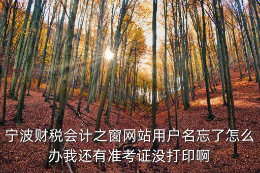 寧波財稅會計之窗網站用戶名忘了怎么辦我還有準考證沒打印啊