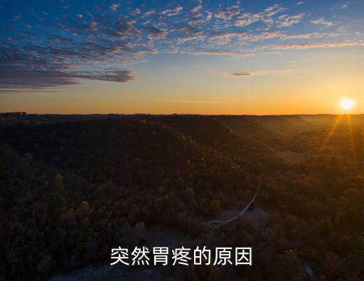 突然胃疼怎么辦，突然胃痛怎么處理啊