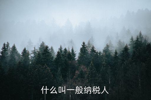 什么叫一般納稅人
