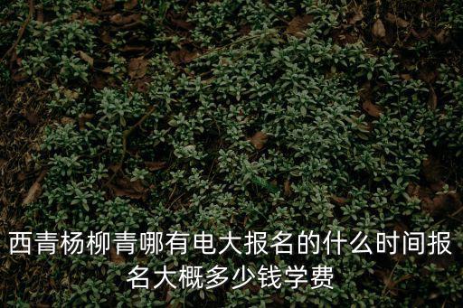 西青楊柳青哪有電大報名的什么時間報名大概多少錢學費