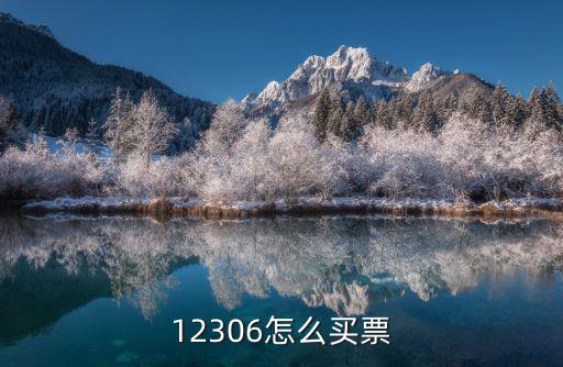 12306怎么買票