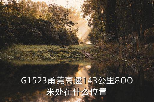甬莞高速，G1523甬莞高速143公里8OO米處在什么位置