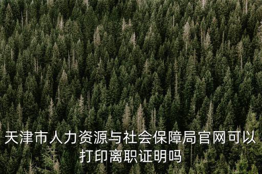 天津市人力資源與社會(huì)保障局官網(wǎng)可以打印離職證明嗎