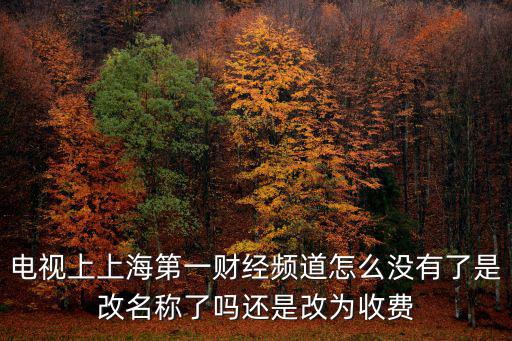 電視上上海第一財經頻道怎么沒有了是改名稱了嗎還是改為收費