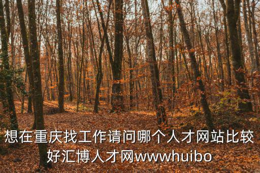 想在重慶找工作請問哪個人才網(wǎng)站比較好匯博人才網(wǎng)wwwhuibo