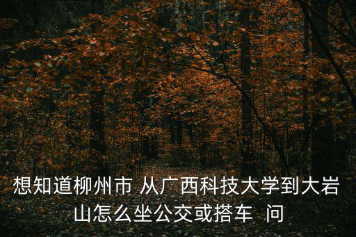 想知道柳州市 從廣西科技大學到大巖山怎么坐公交或搭車  問