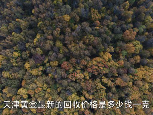 天津黃金最新的回收價格是多少錢一克