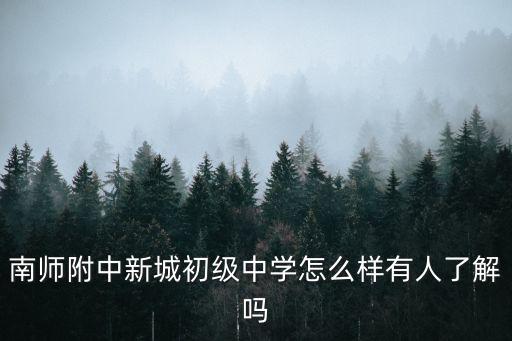 新城初級中學，南師附中新城初級中學怎么樣有人了解嗎