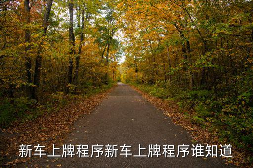 新車上牌程序新車上牌程序誰知道