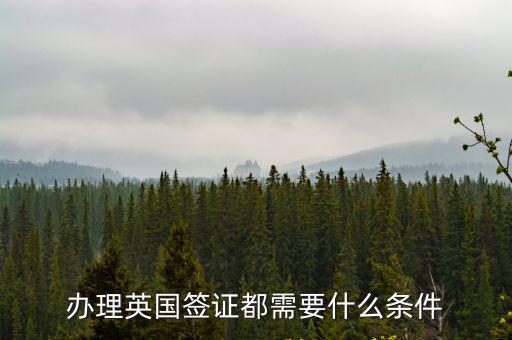 辦理英國簽證都需要什么條件