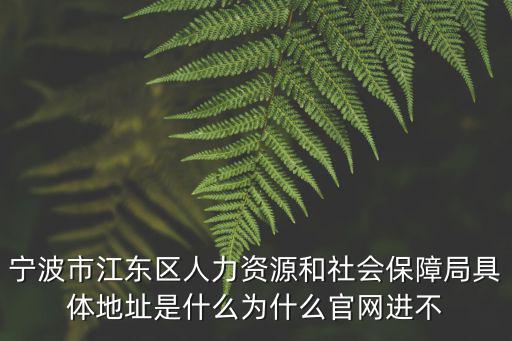 寧波市江東區人力資源和社會保障局具體地址是什么為什么官網進不