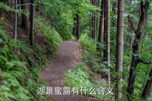 湖景蜜露有什么含義
