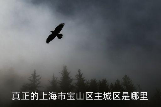 真正的上海市寶山區(qū)主城區(qū)是哪里