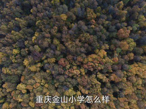 重慶金山小學怎么樣