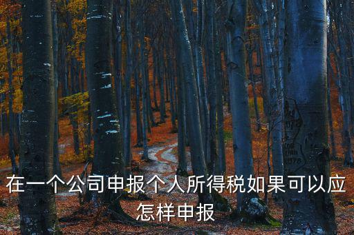在一個公司申報個人所得稅如果可以應怎樣申報