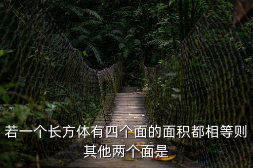 若一個(gè)長(zhǎng)方體有四個(gè)面的面積都相等則其他兩個(gè)面是